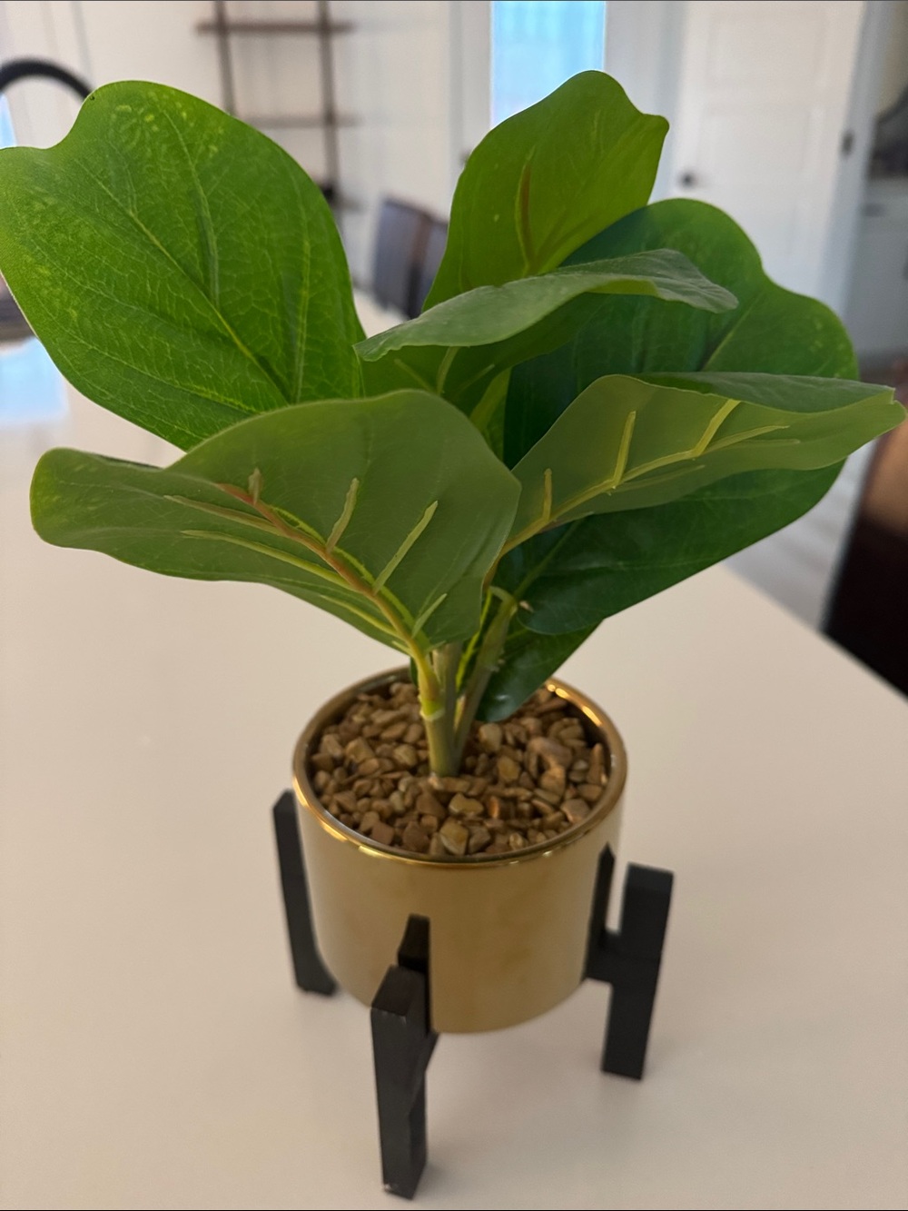 Green Fiddle Leaf Faux Plant in Gold Pot